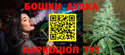 твердый Будённовск