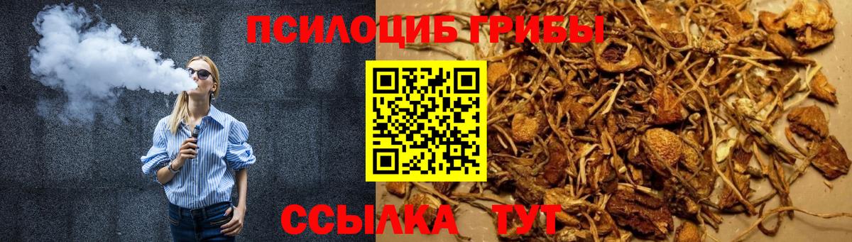Галлюциногенные грибы Psilocybe  Псилоцибиновые грибы мицелий  Вход с VPN  Тюмень 